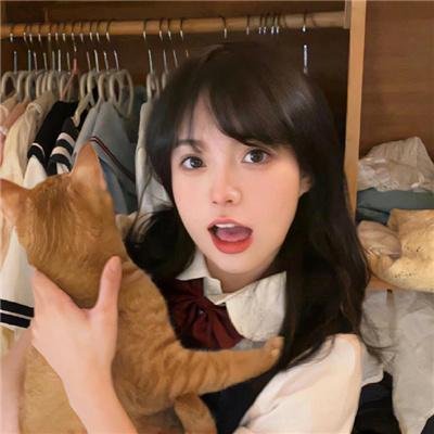 探案新窍门 第五季